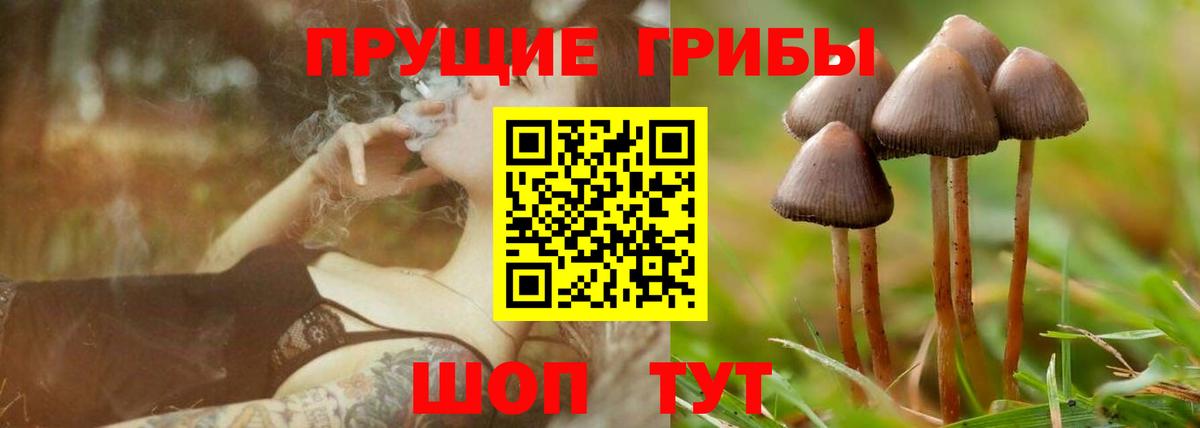 Псилоцибиновые грибы мицелий  Галлюциногенные грибы мицелий  Вход с VPN  наркота  Киров 